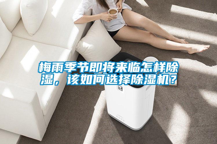 梅雨季節即將來臨怎樣除濕，該如何選擇除濕機？