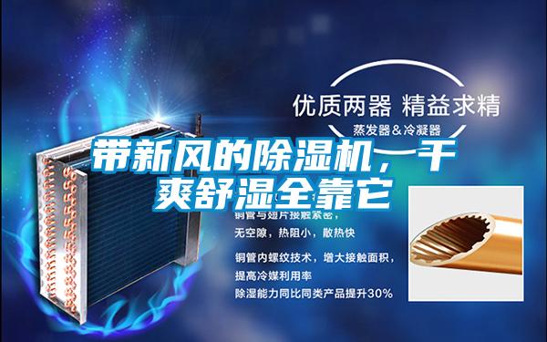 帶新風的除濕機，干爽舒濕全靠它
