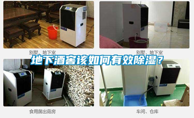 地下酒窖該如何有效除濕？