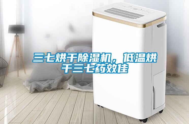 三七烘干除濕機，低溫烘干三七藥效佳
