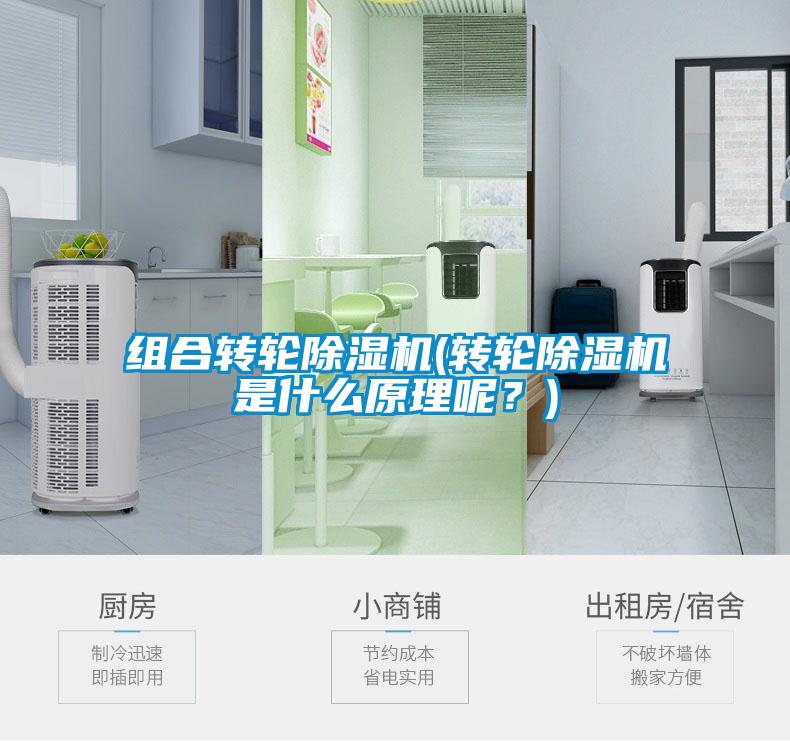 組合轉輪除濕機(轉輪除濕機是什么原理呢？)