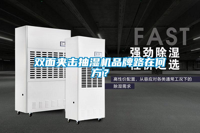 雙面夾擊抽濕機品牌路在何方？