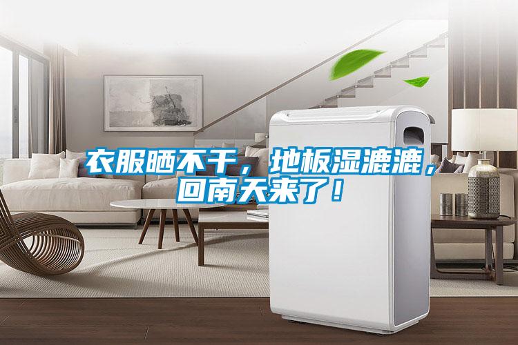 衣服曬不干，地板濕漉漉，回南天來了！