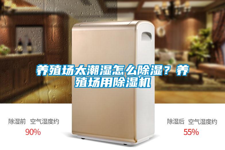 養殖場太潮濕怎么除濕？養殖場用除濕機