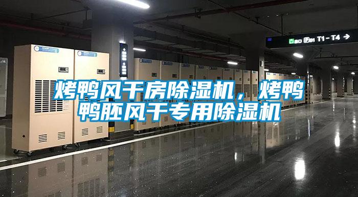 烤鴨風干房除濕機，烤鴨鴨胚風干專用除濕機