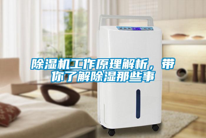 除濕機工作原理解析，帶你了解除濕那些事
