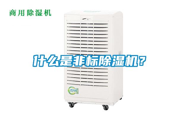 什么是非標除濕機？
