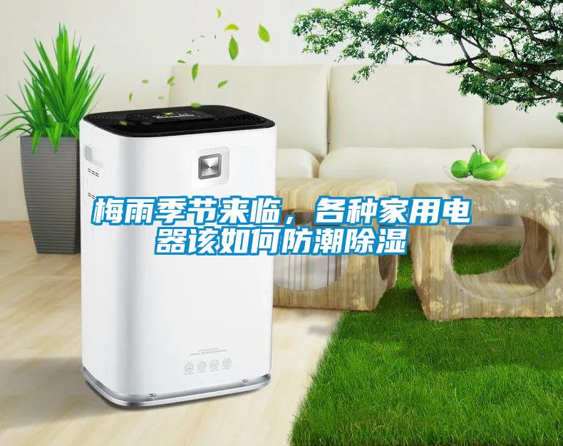 梅雨季節來臨，各種家用電器該如何防潮除濕