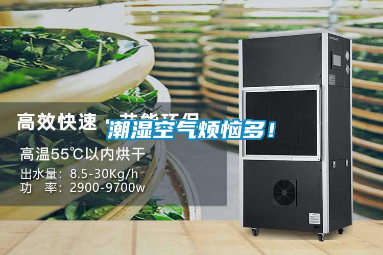 潮濕空氣煩惱多！