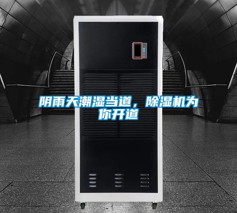 陰雨天潮濕當道，除濕機為你開道