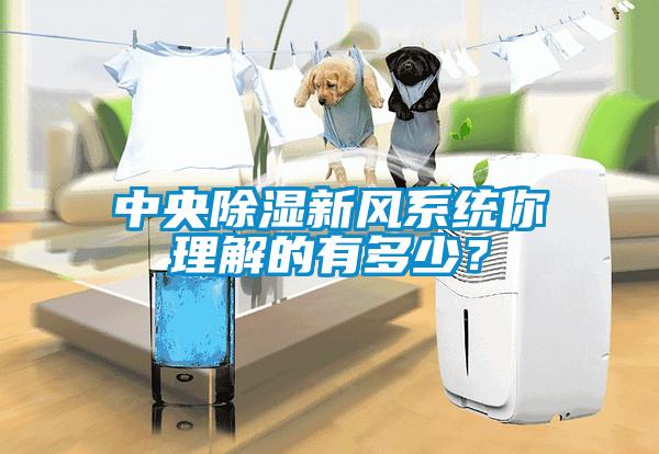 中央除濕新風系統你理解的有多少？