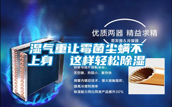 濕氣重讓霉菌塵螨不上身 這樣輕松除濕