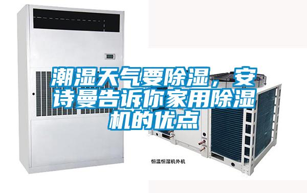 潮濕天氣要除濕，安詩曼告訴你家用除濕機的優點