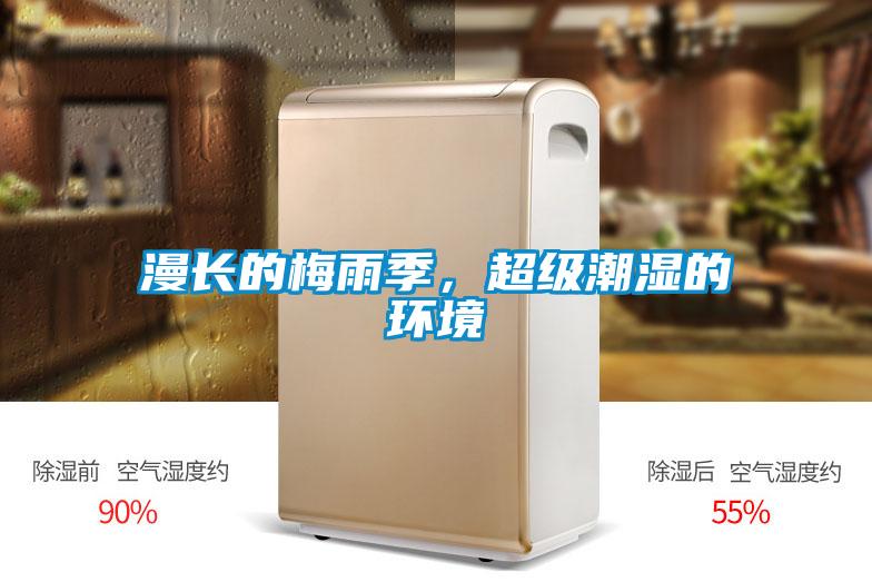 漫長的梅雨季，超級潮濕的環境