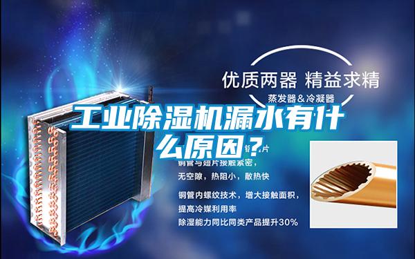 工業除濕機漏水有什么原因？