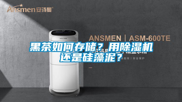 黑茶如何存儲？用除濕機還是硅藻泥？