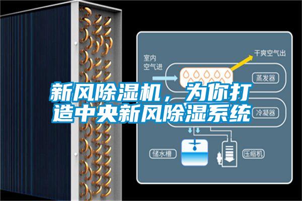 新風除濕機，為你打造中央新風除濕系統