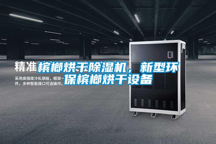 檳榔烘干除濕機，新型環保檳榔烘干設備