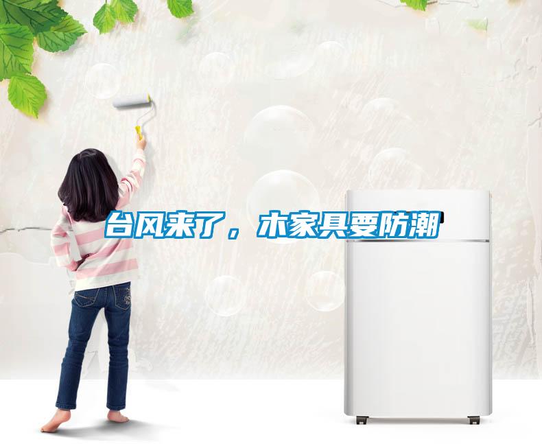 臺風來了，木家具要防潮