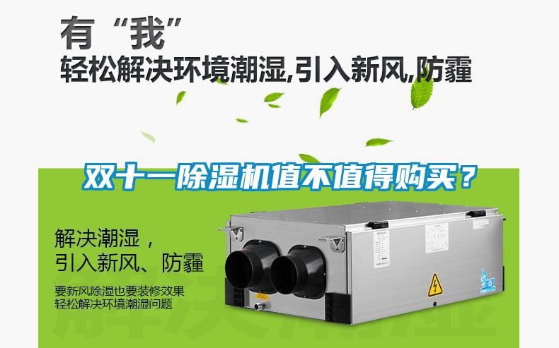 雙十一除濕機值不值得購買？