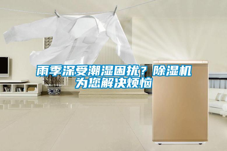 雨季深受潮濕困擾？除濕機為您解決煩惱