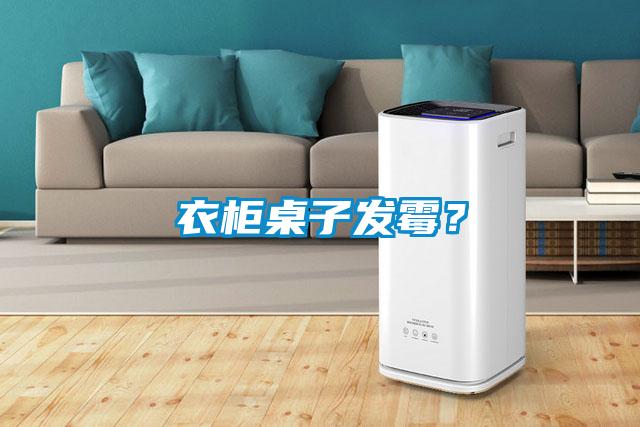衣柜桌子發霉？