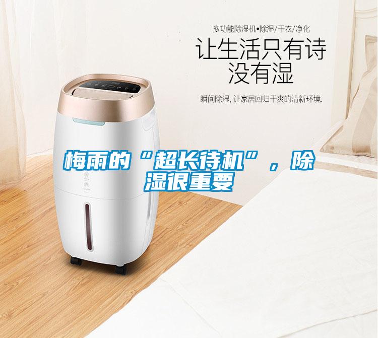 梅雨的“超長待機”，除濕很重要