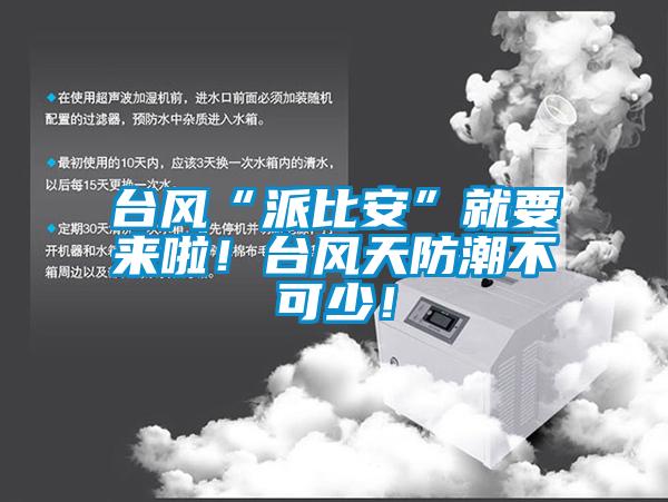 臺風“派比安”就要來啦！臺風天防潮不可少！