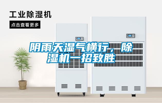 陰雨天濕氣橫行，除濕機一招致勝