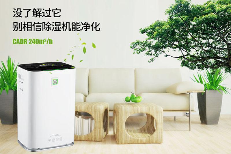 解決地下室的潮濕問題，除濕機可以解決且效果非常好