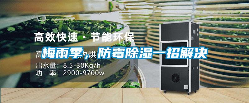 梅雨季，防霉除濕一招解決