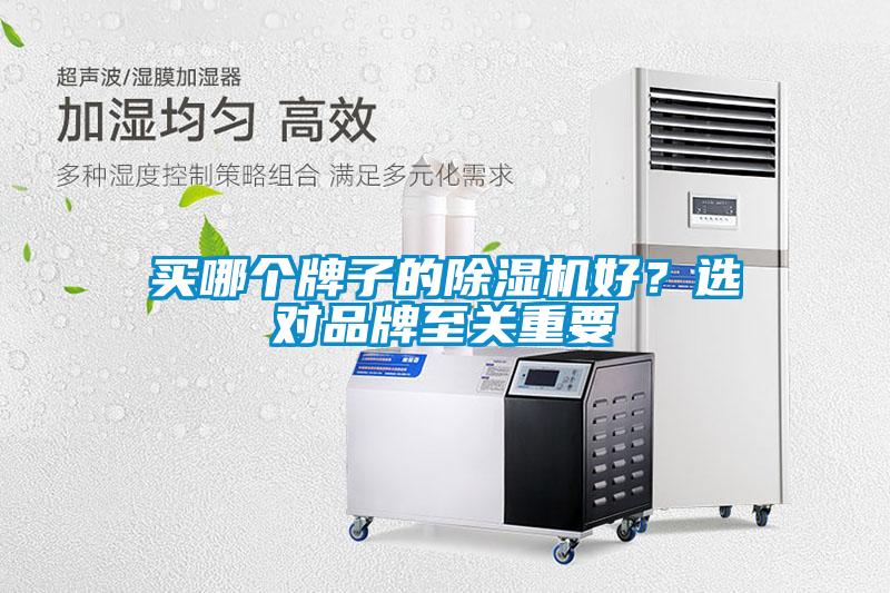 買哪個牌子的除濕機好？選對品牌至關重要