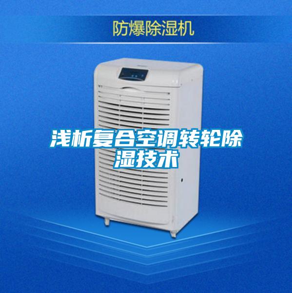 淺析復合空調轉輪除濕技術