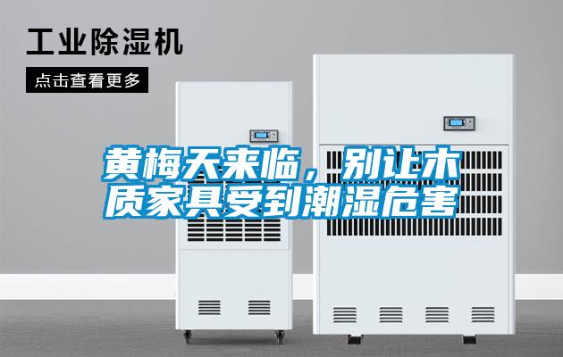 黃梅天來臨，別讓木質家具受到潮濕危害