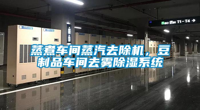 蒸煮車間蒸汽去除機，豆制品車間去霧除濕系統