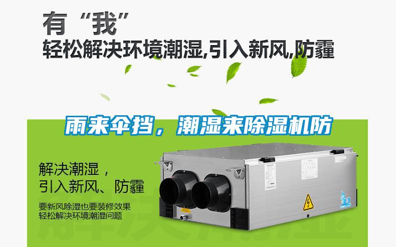 雨來傘擋，潮濕來除濕機防