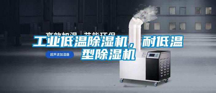 工業低溫除濕機，耐低溫型除濕機