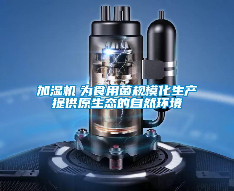 加濕機　為食用菌規?；a提供原生態的自然環境