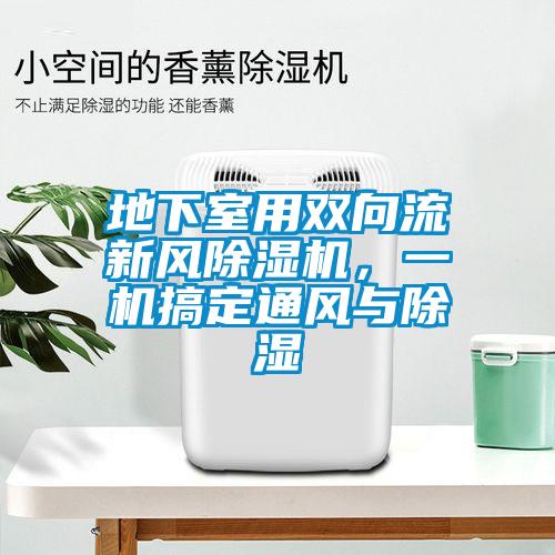 地下室用雙向流新風除濕機，一機搞定通風與除濕
