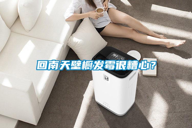回南天壁櫥發霉很糟心？