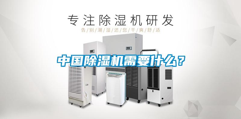 中國除濕機需要什么？