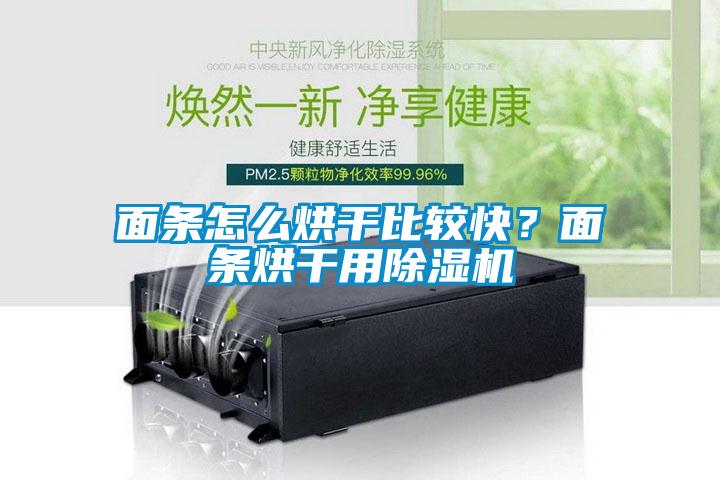 面條怎么烘干比較快？面條烘干用除濕機