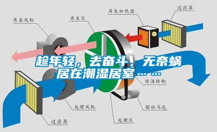 趁年輕，去奮斗，無奈蝸居在潮濕居室……
