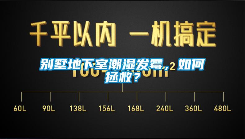 別墅地下室潮濕發霉，如何拯救？