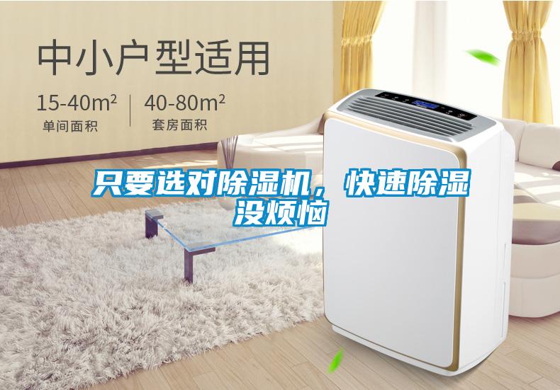 只要選對除濕機，快速除濕沒煩惱
