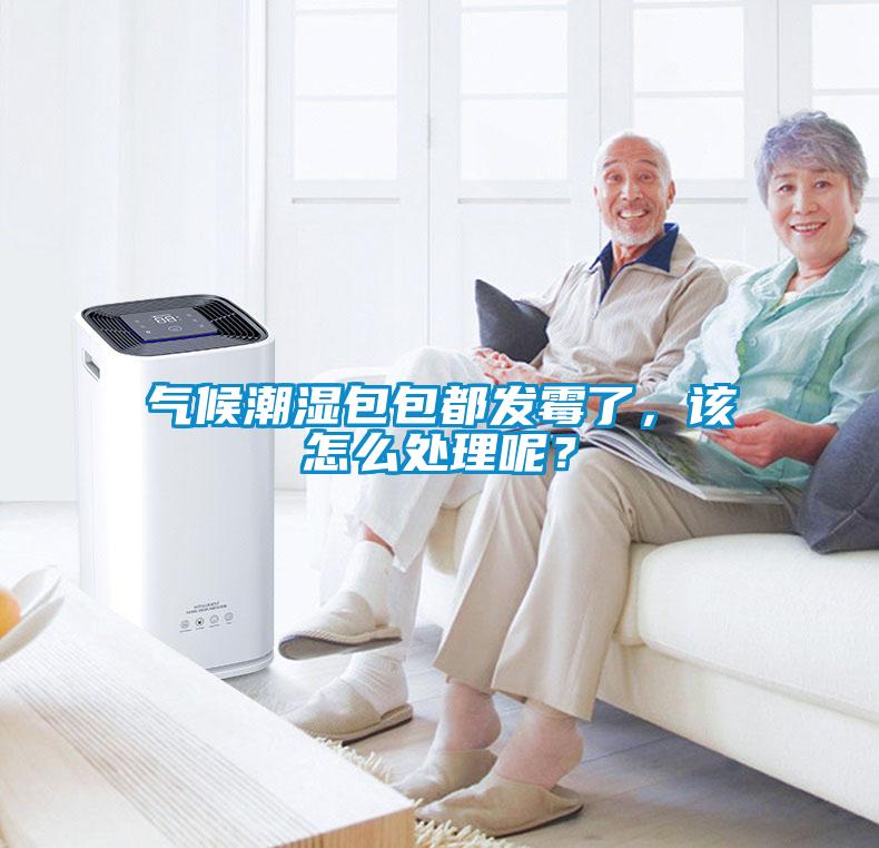 氣候潮濕包包都發霉了，該怎么處理呢？