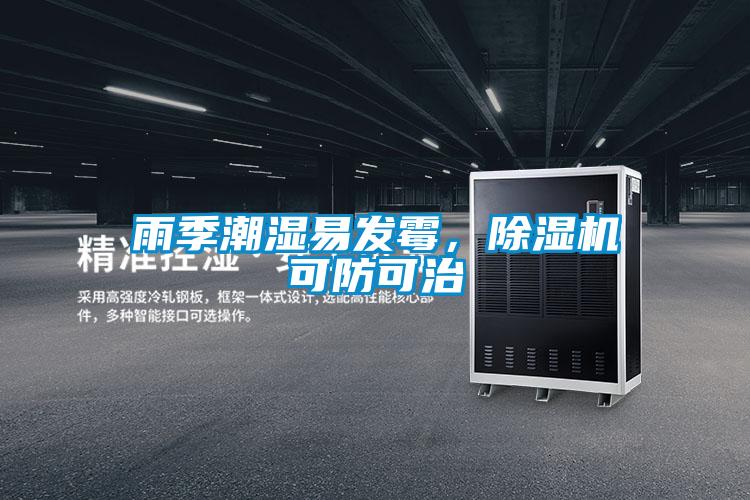 雨季潮濕易發霉，除濕機可防可治