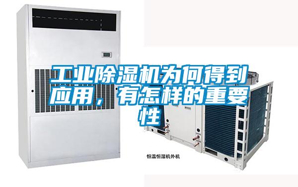 工業除濕機為何得到應用，有怎樣的重要性