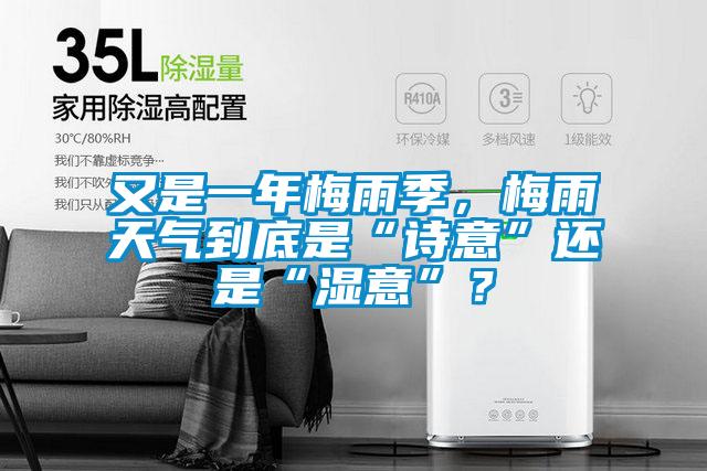 又是一年梅雨季，梅雨天氣到底是“詩意”還是“濕意”？