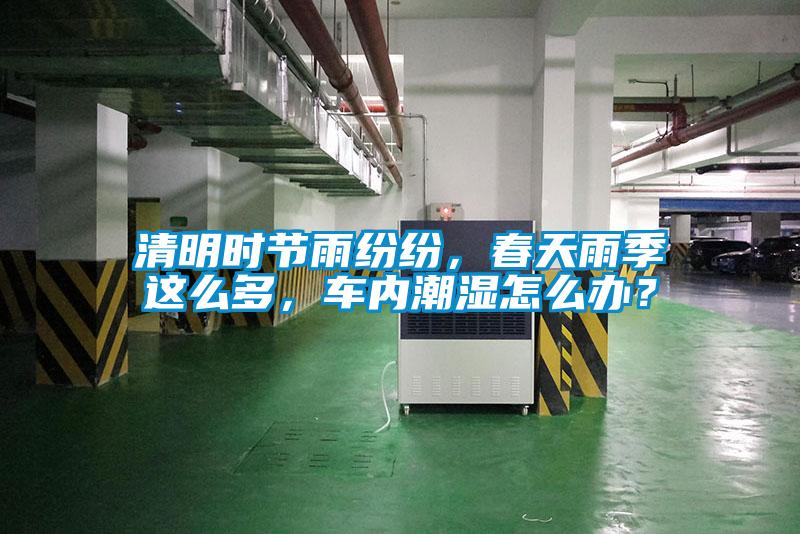清明時節雨紛紛，春天雨季這么多，車內潮濕怎么辦？